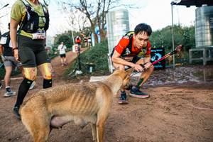 BIB: 
                            <button type="button" onclick="openModal(25457842)" class="btn btn-primary btn-sm float-right btn-popup" data-toggle="modal" data-target=".modal-high-quality">
                        <i class="fas fa-shopping-cart"></i> Add to Cart
                    </button>
                                            <button type="button" onclick="isThisMe(25457842, true)" class="btn btn-success btn-sm float-right btn-popup btn-isme hidden" data-toggle="tooltip" data-placement="bottom" title="นี่คือรูปของคุณใช่ไหม คลิกที่นี่เพื่อเอาเข้าอัลบั้ม">
                        <i class="fas fa-plus"></i> Add to album
                    </button>
                    <button type="button" onclick="isThisMe(25457842, false)" class="btn btn-warning btn-sm float-right btn-popup btn-isnotme hidden">
                        <i class="fas fa-ban"></i> Remove from album
                    </button>